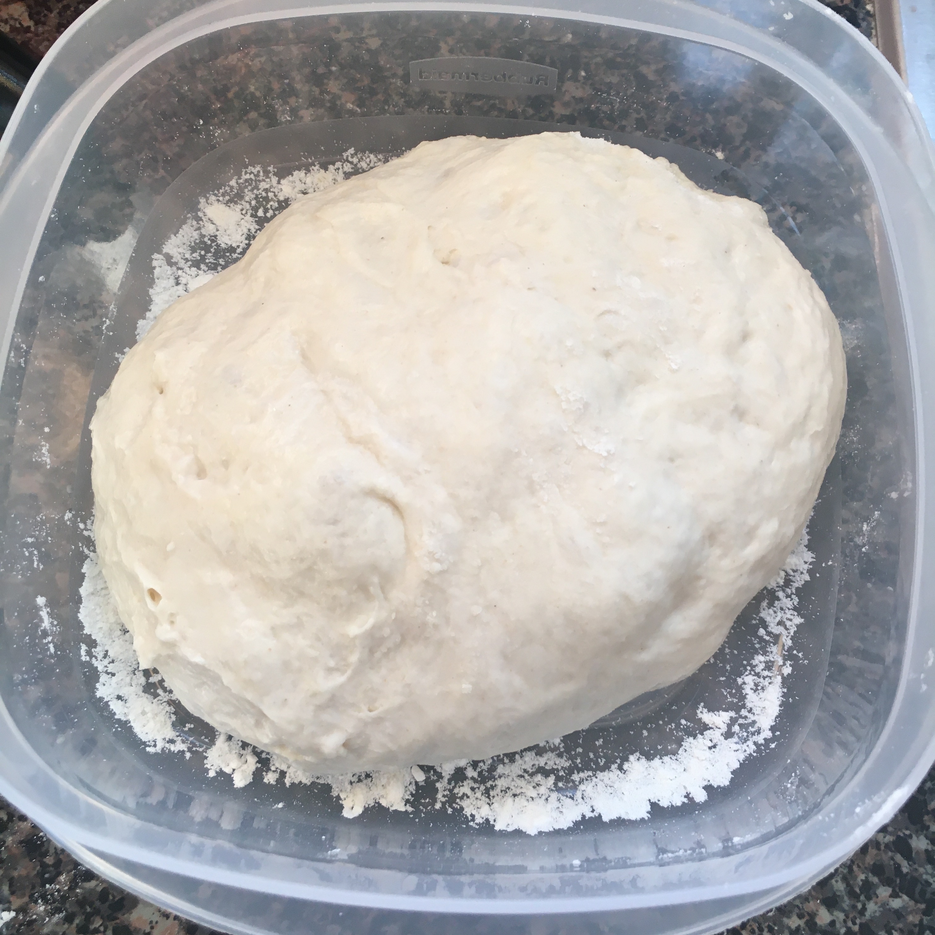 Overnight No-Knead Pizza Dough